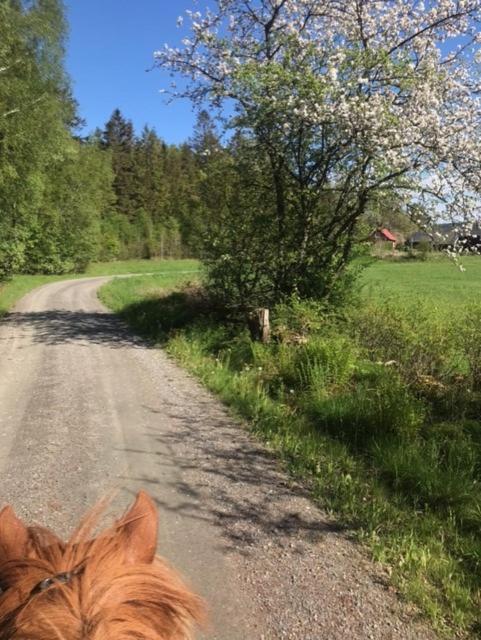 Stenlid - Med Naturen Och Lugnet I Fokus Veddige Extérieur photo