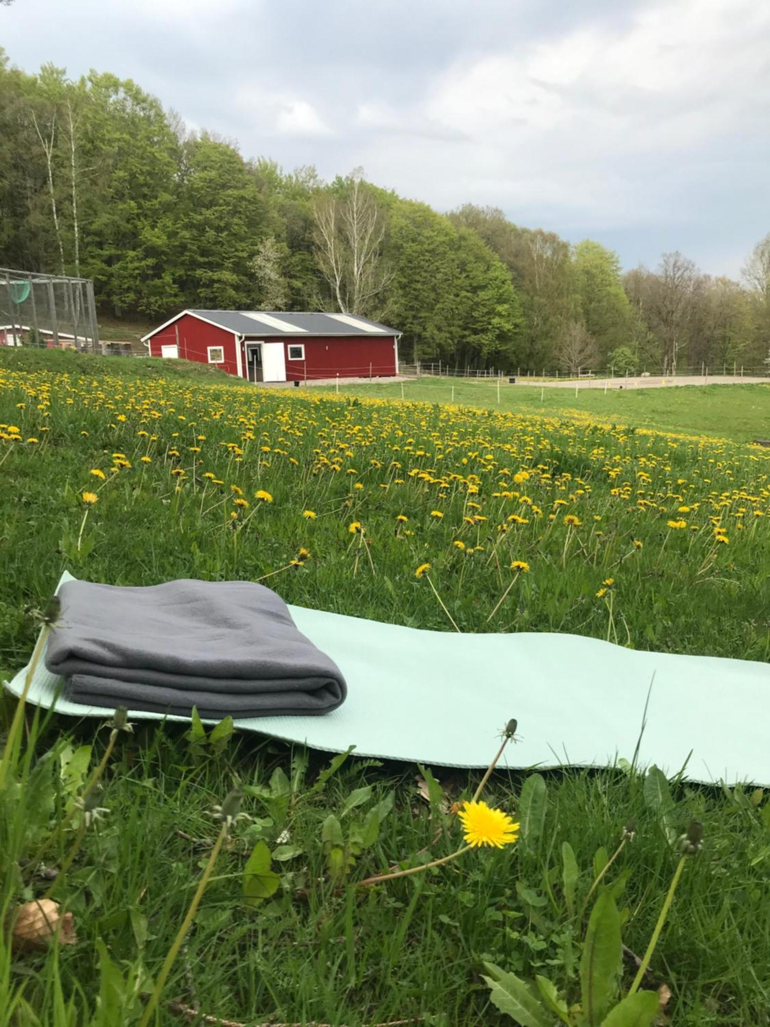 Stenlid - Med Naturen Och Lugnet I Fokus Veddige Extérieur photo